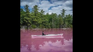 The Secret Pink Lake of Gatineau Park [upl. by Peery85]