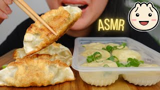 ASMR BIBIGOS STEAMED DUMPLINGS AND FRIED DUMPLINGS eating sound No talking [upl. by Lleroj]