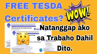 Free Tesda Certificates  Online Training  Easy access [upl. by Della]