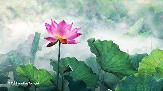 Buddhas Flute Awakening  Relaxing Music for Meditation amp Zen [upl. by Bobbye]