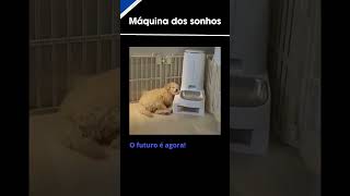 Máquina com despertador serve cãozinho curiosidadeanimal curiosidades animais [upl. by Droc454]