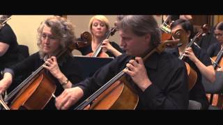 CLASSICAL MUSIC BEST OF STRAUSS The Blue Danube Waltz Op 314  HD [upl. by Bopp]