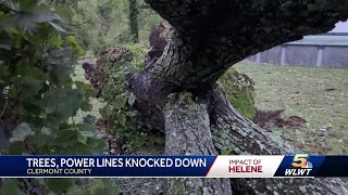 Winds from Helene bring trees wires down across Greater Cincinnati area [upl. by Morehouse]