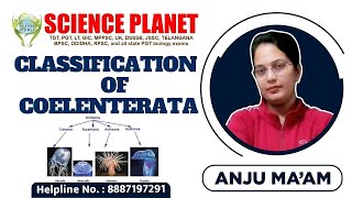 CLASSIFICATION OF COELENTERATA II BY ANJU MAM II SCIENCE PLANET II [upl. by Earazed]