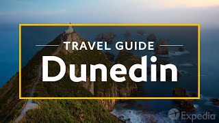 Dunedin Vacation Travel Guide  Expedia [upl. by Semyaj]