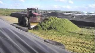 Silage 2011  Dairy Farming in Canada [upl. by Edecrem]