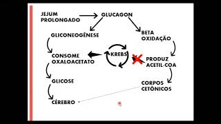 Cetogênese [upl. by Ayimat]