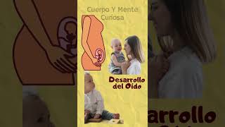 5 CURIOSIDADES DEL DESARROLLO FETAL mentecuriosa anatomia embriologia cuerpohumano desarrollo [upl. by Kantos]