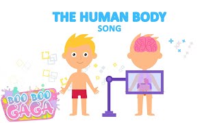 The Human Body SongAnatomy for Kids by Boo Boo Gaga booboogaga [upl. by Koch228]