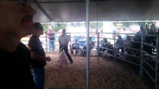 Victoria Auctioning her Reserve Champion Hog [upl. by Eiro247]