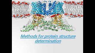 Protein Structure Determination  X Ray Crystallography  NMR  Cryo e Microscopy [upl. by Lleynad255]