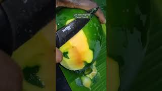 Unripened Papaya Poriyal sure would be a surprisefarming farmer farm papaya fruits green [upl. by Zollie]