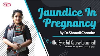 Jaundice in Pregnancy  Differential Diagnosis  Dr Shonali Chandra [upl. by Bellamy396]