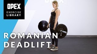 Romanian Deadlift  OPEX Exercise Library [upl. by Shiekh]