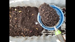 How to Harvest Worm Castings from a Simple Worm Compost Bin [upl. by Atinomar]