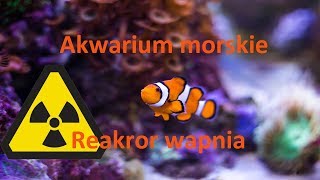 Akwarium morskie  uruchamiamy reaktor wapnia Tutorial [upl. by Wootten899]