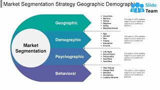 Market Segmentation Strategy Geographic Demographic Psychographic Behavioral [upl. by Yxor]