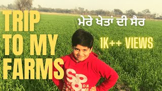 Farm Tour 🚜I Punjab I Fazilka I [upl. by Eilyk]