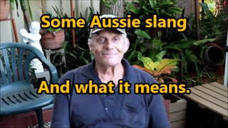 Some Aussie Slang And What It Means [upl. by Aicetel583]