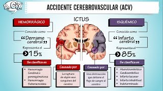 ACCIDENTE CEREBROVASCULAR  Ciencias Básicas [upl. by Socem]