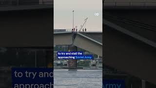 Bridge collapses into river in Germanys Dresden  DW News [upl. by Cardie871]