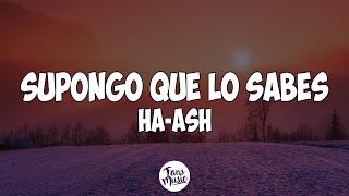 Supongo Que Lo Sabes Letra  HAASH [upl. by Bonaparte]