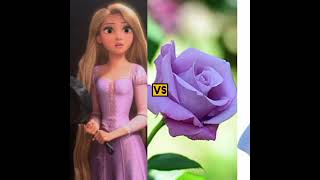 Disney princessesqueens vs rose [upl. by Torhert]