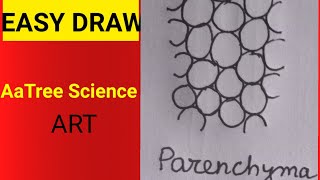 how to draw parenchyma aatreescienceart shorts parenchyma [upl. by Irrehs819]