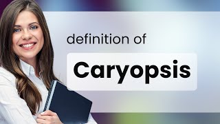 Caryopsis • what is CARYOPSIS definition [upl. by Auqenahc828]