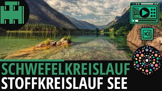 Schwefelkreislauf Stoffkreislauf im See│Biologie LernvideoLearning Level Up KI [upl. by Care830]