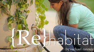 How to Make Your Own Rain Barrel  Buildipedia DIY [upl. by Leyameg390]