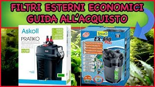 I MIGLIORI FILTRI ESTERNI ECONOMICI  GUIDA ALLACQUISTO [upl. by Samalla403]