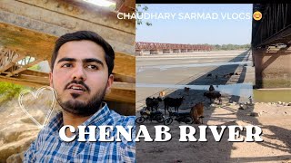 Gujrat Chenab River  Chenab River Chaudharysarmadvlog [upl. by Ilak]