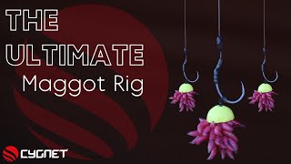 How To Tie A Maggot Rig For Carp  Wafter Maggot Rigs  Winter Carp Fishing [upl. by Calli629]