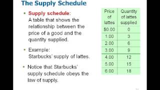 Microeconomics Chapter 4 [upl. by Notnil]