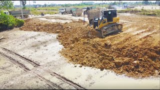 The New Project UPDATE Land fill up DumpTruck Uploading Soil by Dozer SHANTUI Pushing Soil into Dirt [upl. by Goodrich]