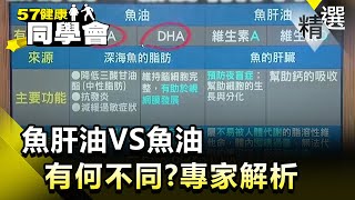 魚肝油VS魚油 有何不同？專家解析【健康同學會】精華篇｜隋安德 許晶晶 [upl. by Huntingdon]