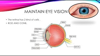 structure of eye [upl. by Debby626]