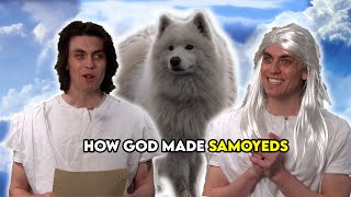 God Makes Samoyeds [upl. by Ellora]