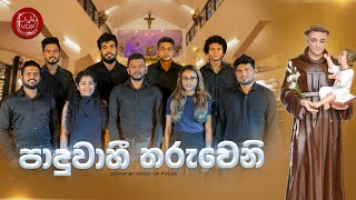 Paduwahi Tharuweni පාදුවාහී තරුවෙනි Cover By VOP [upl. by Rehpetsirhc]