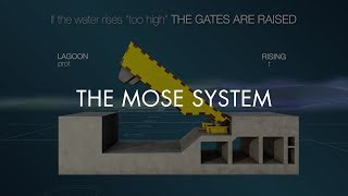 THE MOSE SYSTEM [upl. by Aldora774]