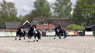 Jouwe 485 op de tuigpaardendag in Lunteren [upl. by Aiam]