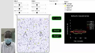 Molecule Movement Across a Semipermeable Membrane simulation  Science Experiment [upl. by Keg]