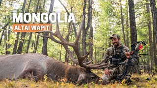 New World Record Elk Bowhunting the Altai Wapiti in Mongolia [upl. by Nixie532]