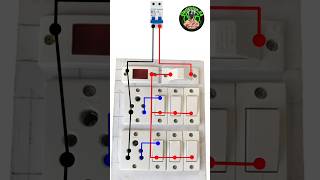 2 Socket switch Fuse Wiring shortselectricalwiringelectricalwiringwiringtechniquesshortsfeed [upl. by Sievert]