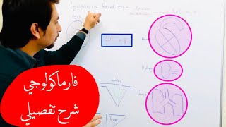 Autonomic Pharmacology Sympathetic Receptor Alfa And Beta المستقبلات والتاثير [upl. by Kramlich]