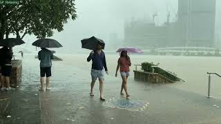 Walking in Heavy Rain in BRISBANE SOUTH BANK and Nature Sounds 2022【4K】 [upl. by Yaf686]