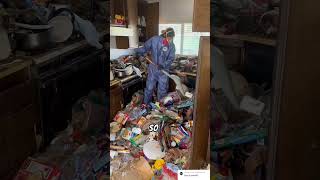 CRAZIEST Kitchen Deep Clean [upl. by Paske109]