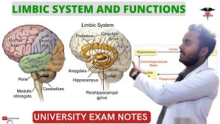 Limbic System amp Functions  CNS Physiology [upl. by Rici]