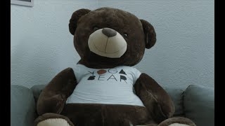 YOGA BEAR  Share With Me [upl. by Dor]